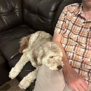 Meet your Posher, Darren